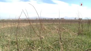 Экс-глава кадастра Вагаршапата обвиняется в хищении 52 участков на 230 млн драмов