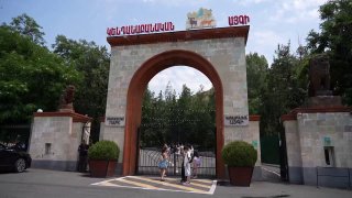 Животные из особняка Гагика Царукяна проходят адаптацию в Ереванском зоопарке: подробности для жителей Кентрона